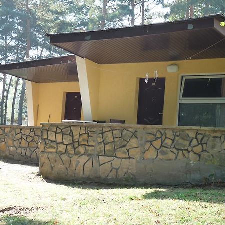 Hotel Osrodek Wypoczynkowy Jelonek Wolsztyn Exteriér fotografie